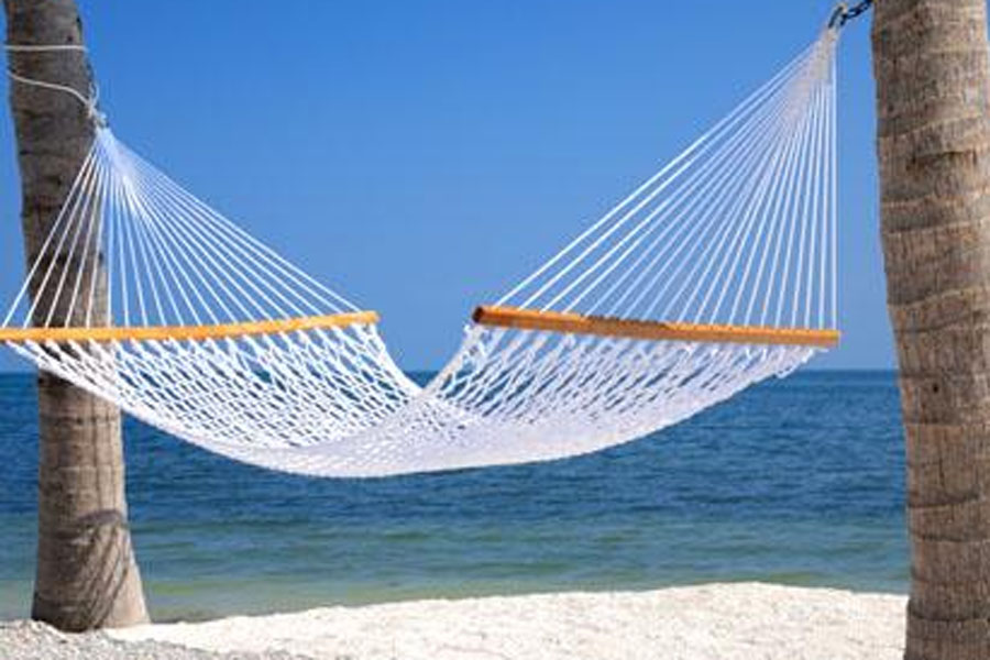 Relaxing Hammock